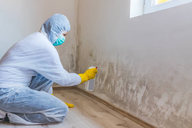 Mold inspector in Ashville performing thermal imaging
