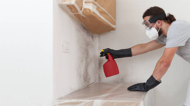Basement Mold Remediation treatment on basement walls in Ashville